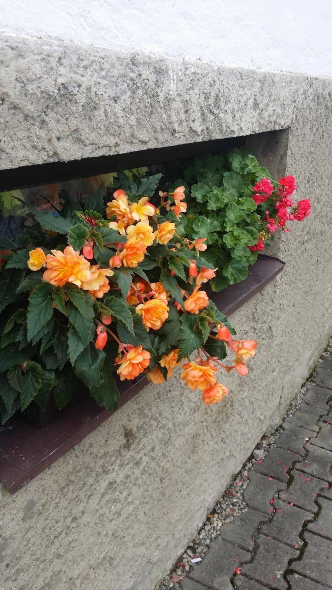 Iva Ubytovanie Liptovský Mikuláš Exterior foto